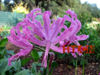 商标转让.jpg 商标转让