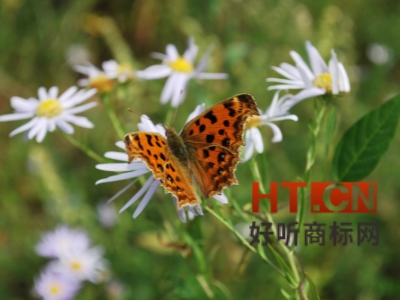 商标转让.jpg 商标转让