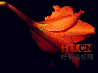 商标转让.jpg 商标转让