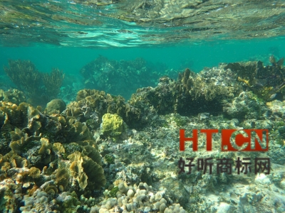 商标转让.jpg 商标转让