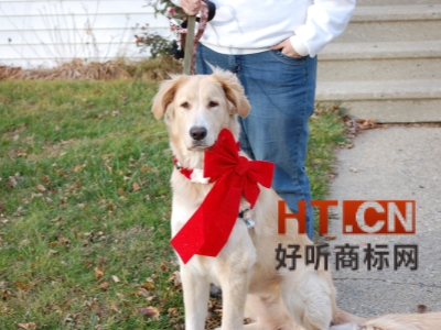 商标转让.jpg 商标转让