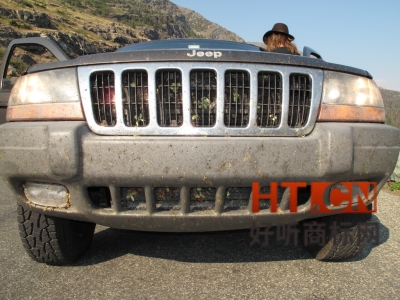 商标转让.jpg 商标转让