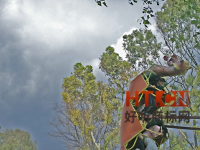 商标转让.jpg 商标转让