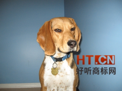 商标转让.jpg 商标转让