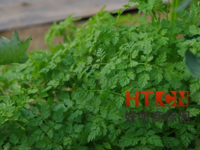 商标转让.jpg 商标转让