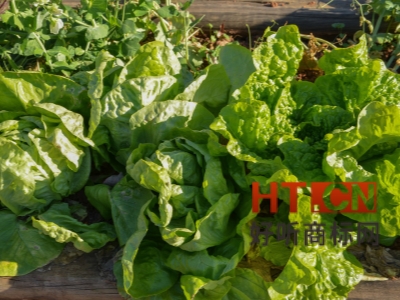 商标转让.jpg 商标转让