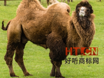 商标转让.jpg 商标转让