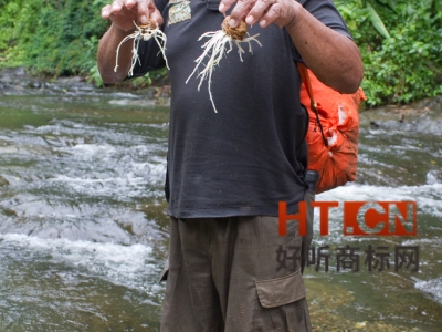 商标转让.jpg 商标转让