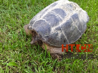 陶瓷属于商标中的哪一类