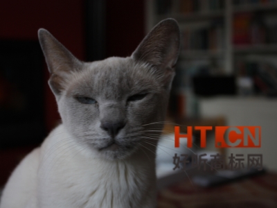 补办商标证书多少钱