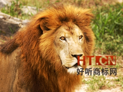 我的企业注销了,商标怎么处理