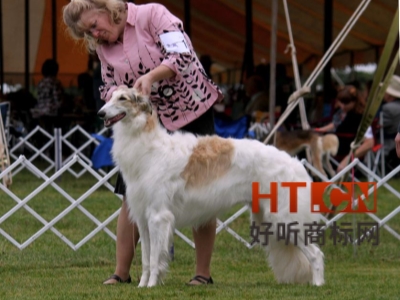 品牌老化的原因都有什么?