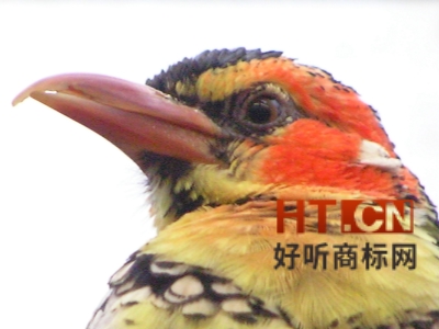 商标注册证丢了或者破损了怎么办?