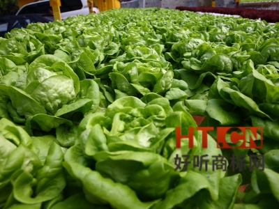 LOGO 、商标、品牌的含义 你真的清楚吗?