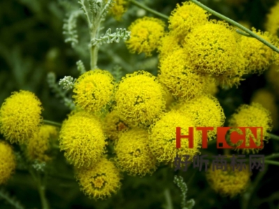 商标对于企业发展有什么意义?