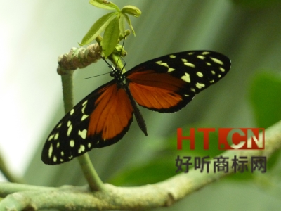 造成商标注册被驳回的风险有哪些?