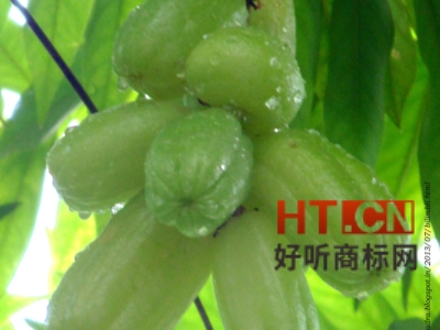 大地牌电动车可以注册吗？