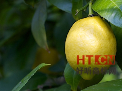 商标转让.jpg 商标转让