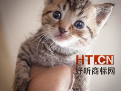 商标转让.jpg 商标转让