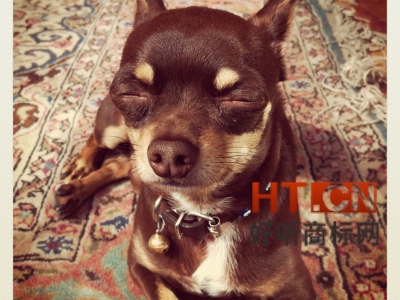 商标转让.jpg 商标转让