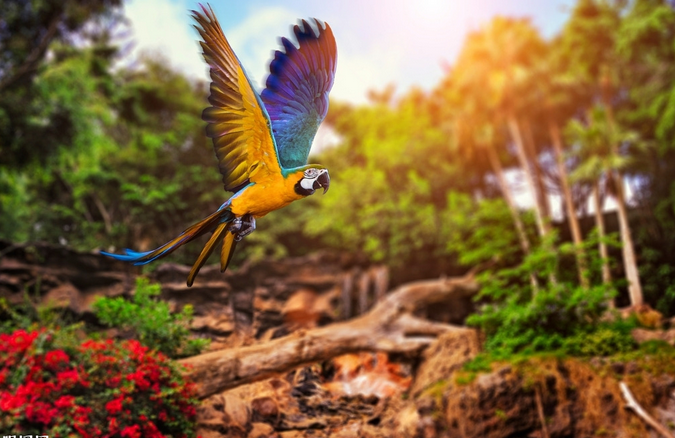 第10类商标转让