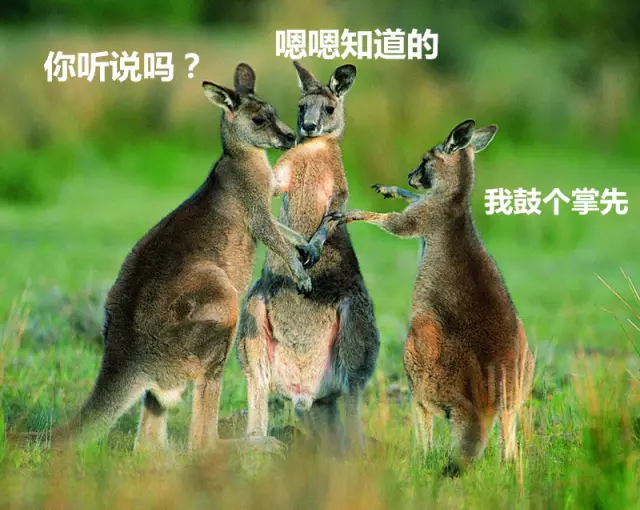 640 (6)_看图王.web.jpg