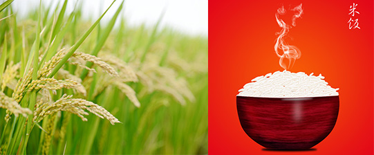 商标转让 商标转让