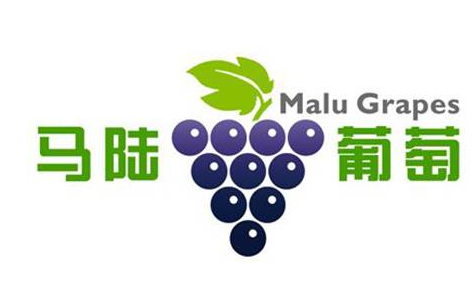 是什么使得马陆葡萄能成为品牌商标？