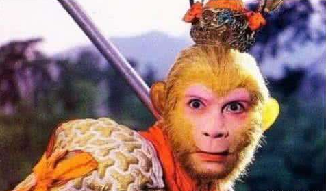 猴哥很气愤!六小龄童艺名遭恶意抢注 商标网.png 猴哥很气愤!六小龄童艺名遭恶意抢注 商标网.png