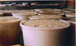 “生米”商标注册后为什么没人用捏? 商标转让网