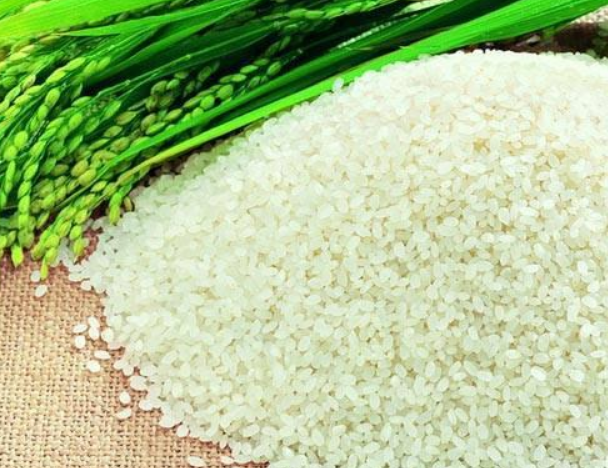 龙江大米品牌保卫战打响 严打假商标假包装假广告.png