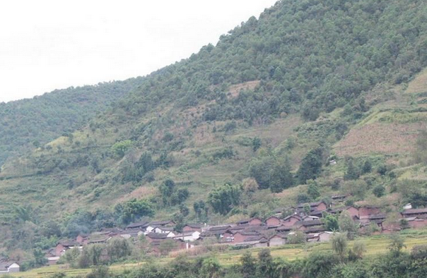 大同市“白羊村”牌注册商标 助村民走上致富路.png