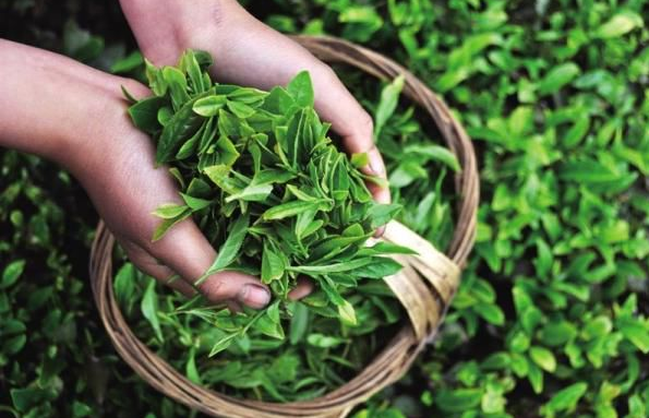 1528099921168546.png QQ图片20180604161118.png