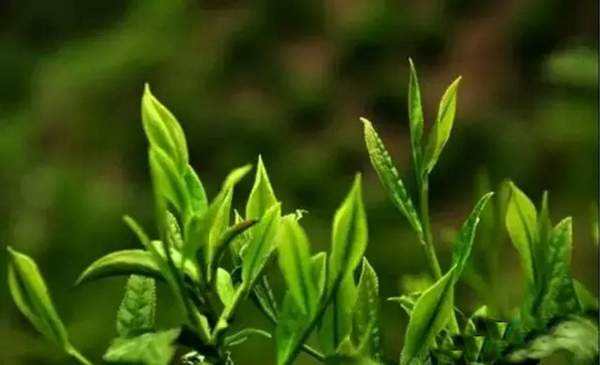 1528770780786521.jpg tgtyuu8.jpg