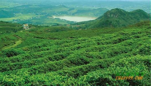 1529045208982162.jpg 61502.jpg