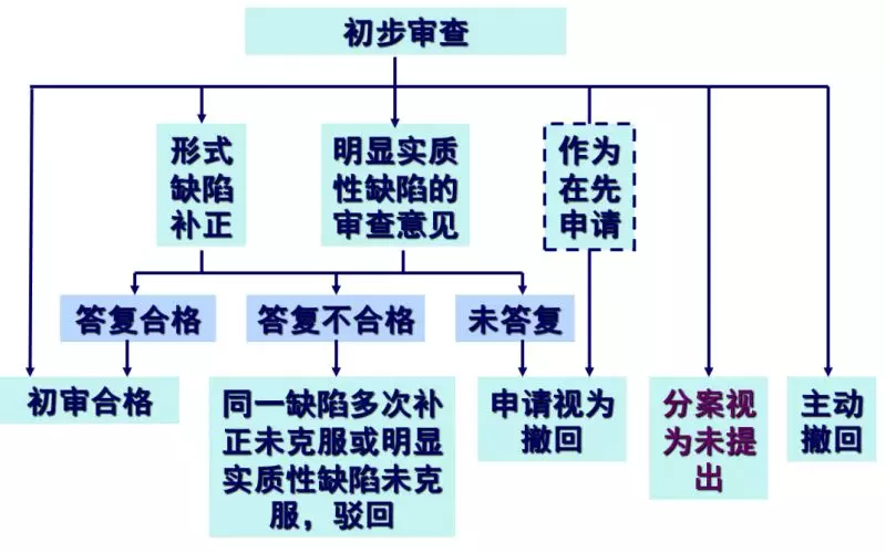 发明专利初步审查.png