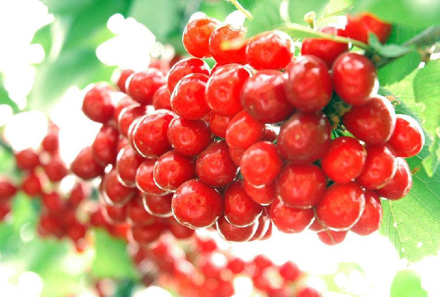 1530849277394419.jpg yhju76eik.jpg