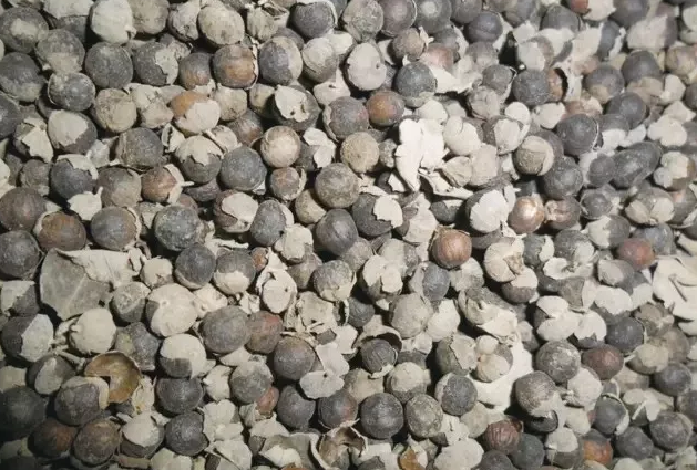 1535423433971191.png 1.png