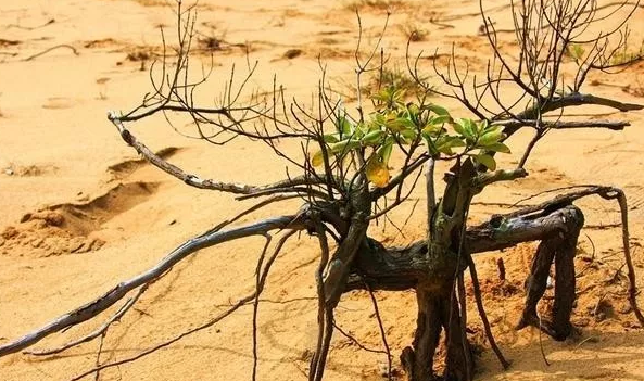 1535423447793376.png 2.png