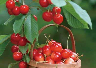 1535423748154772.png 1.png