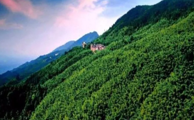 1535424068450869.png 2.png