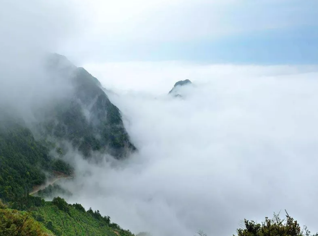 1535424080118652.png 1.png