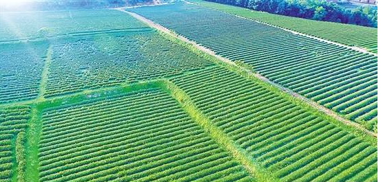 1535694406556042.png 1.png