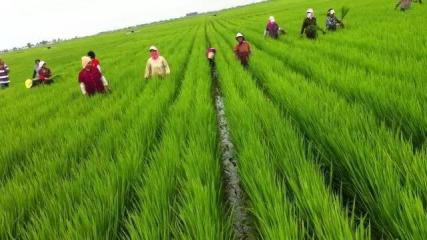 1536562711855531.jpg hyteui.jpg