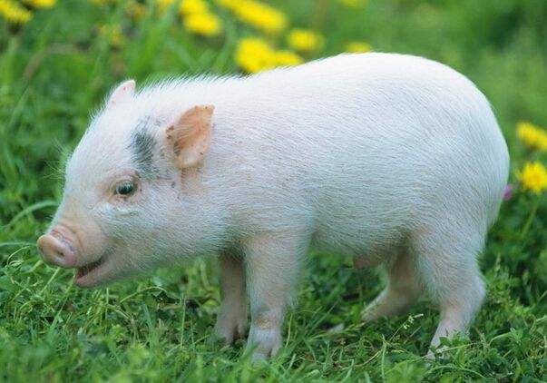 1537173297206838.jpg ggjoiopo.jpg