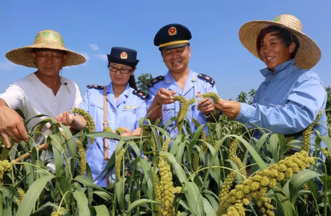 1537252160537514.png 1.png