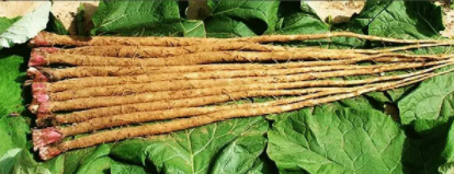 1542089521210323.png 11.png