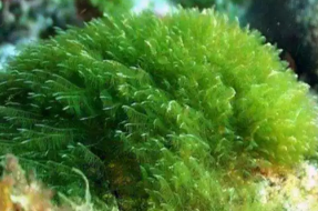 1543383876774409.png 3.png