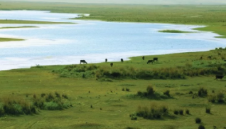 1543383957146703.png 2.png