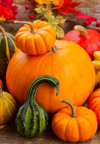 1543392149628182.png eartyruyiu7io.png